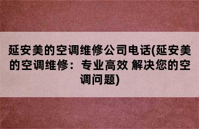 延安美的空调维修公司电话(延安美的空调维修：专业高效 解决您的空调问题)